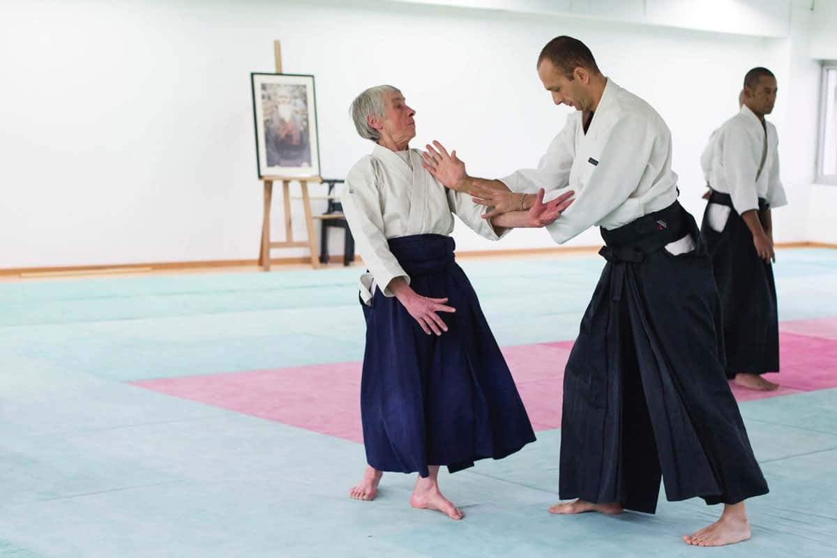 Formation-Aikido-Lyonnais-2013-12-BF-1-25