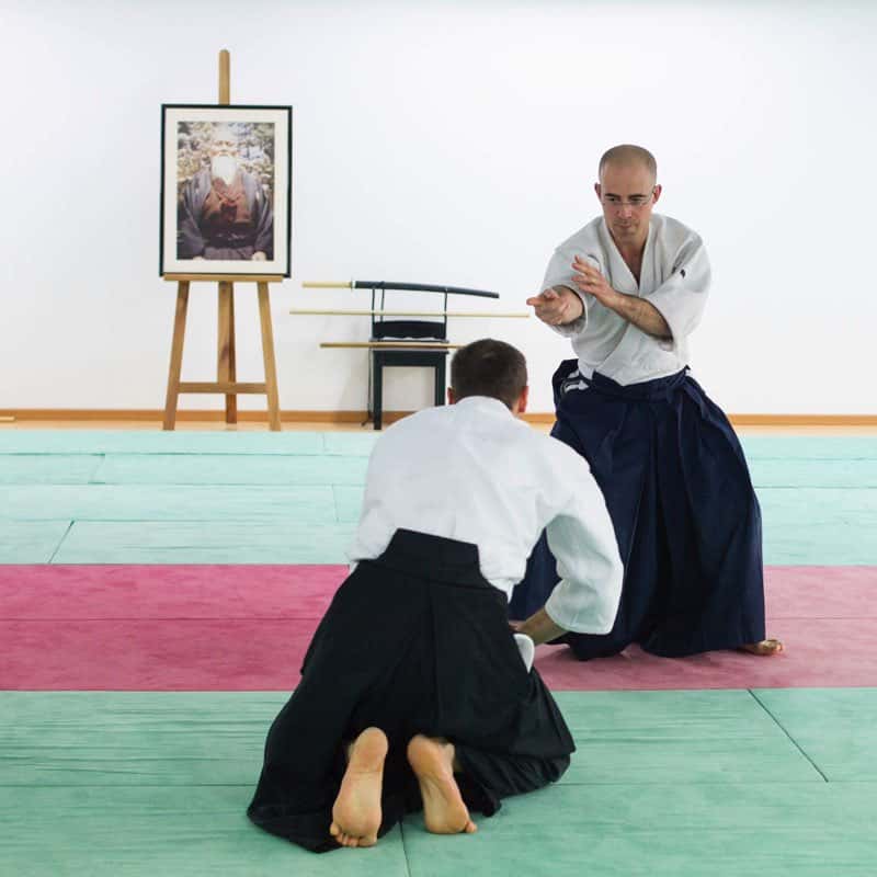 Formation-Aikido-Lyonnais-2013-12-BF-1-26