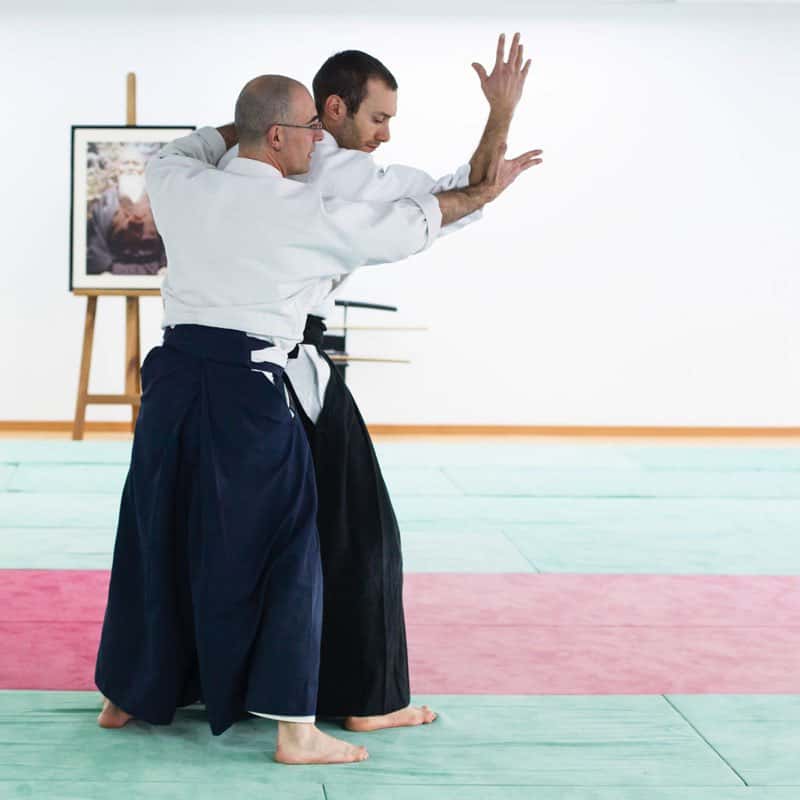 Formation-Aikido-Lyonnais-2013-12-BF-1-27