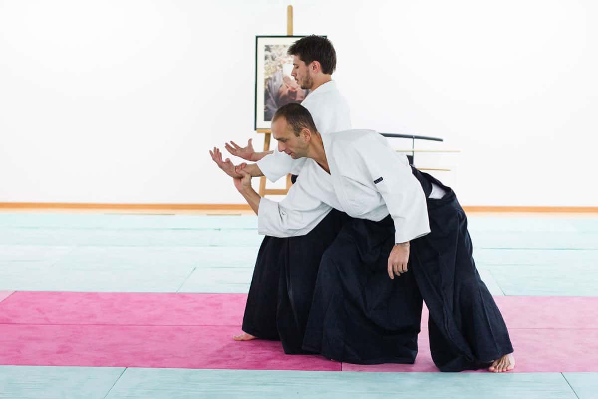 Formation-Aikido-Lyonnais-2013-12-BF-1-28