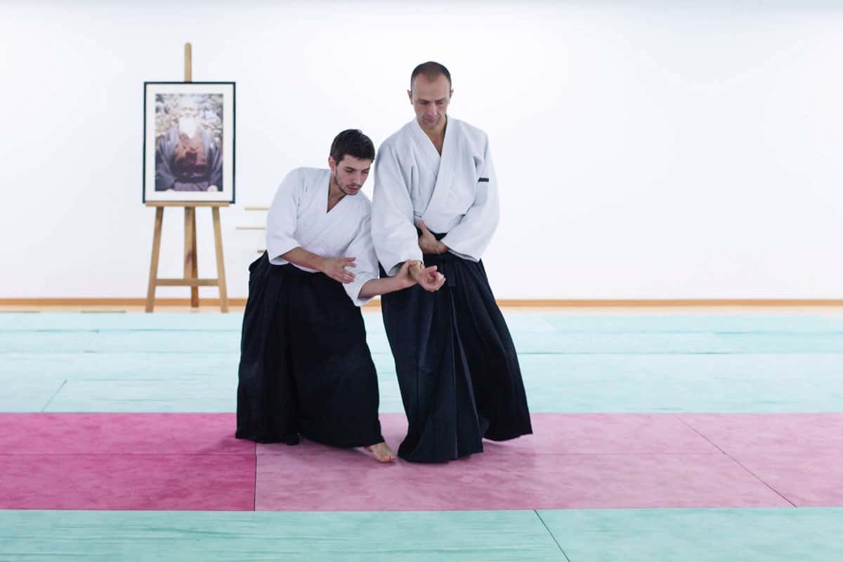 Formation-Aikido-Lyonnais-2013-12-BF-1-29