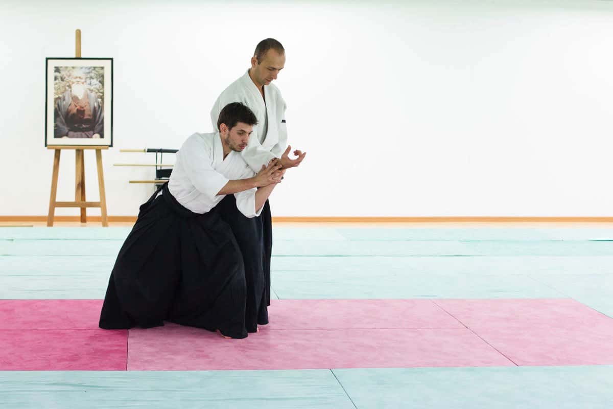 Formation-Aikido-Lyonnais-2013-12-BF-1-30