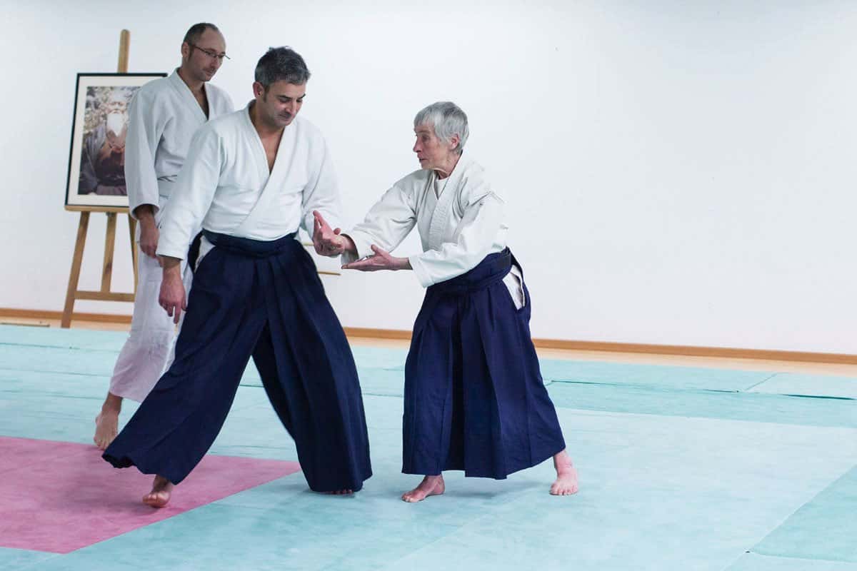 Formation-Aikido-Lyonnais-2013-12-BF-1-31