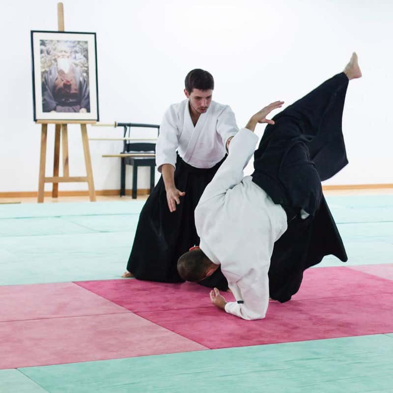 Formation-Aikido-Lyonnais-2013-12-BF-1-32