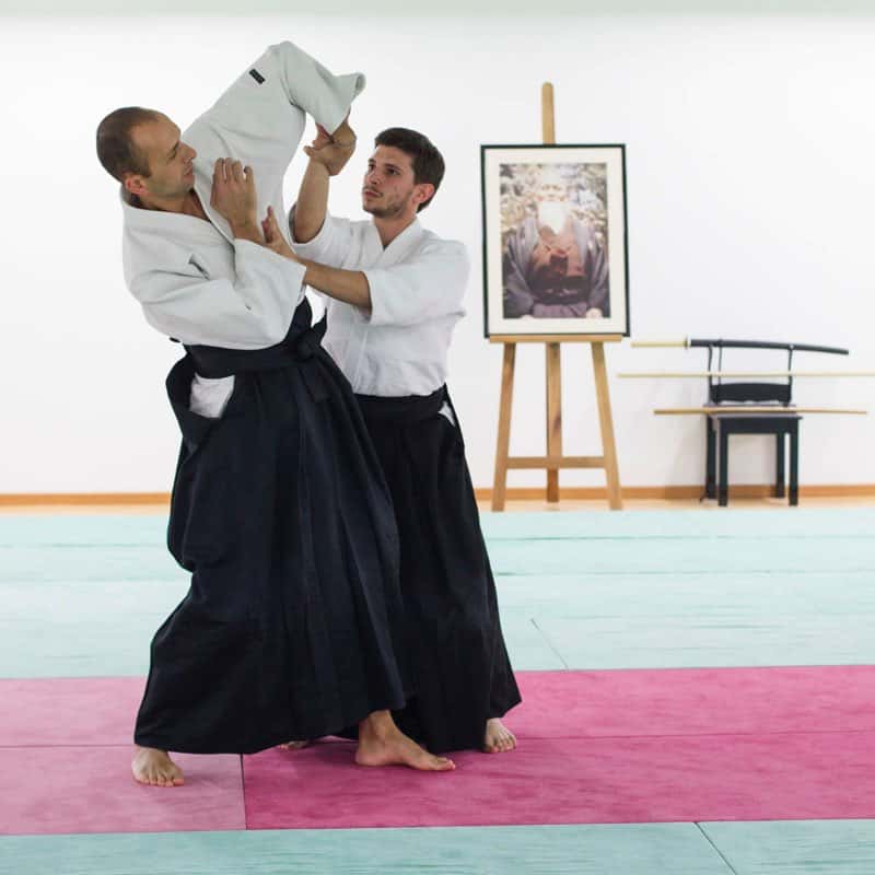 Formation-Aikido-Lyonnais-2013-12-BF-1-33