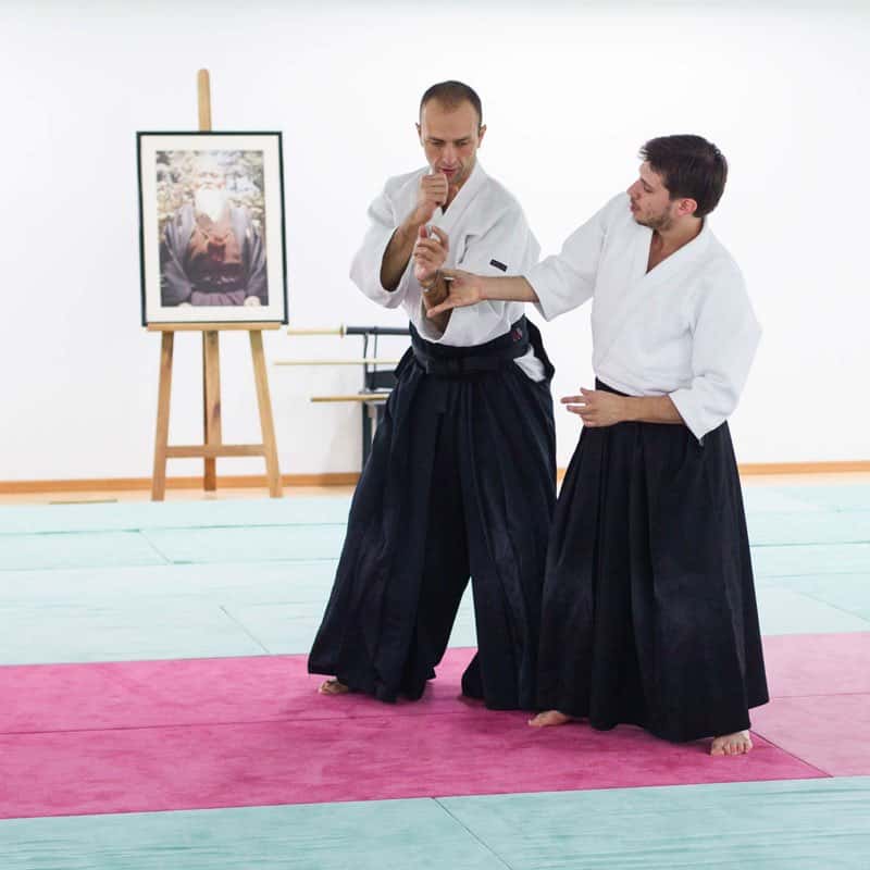 Formation-Aikido-Lyonnais-2013-12-BF-1-34