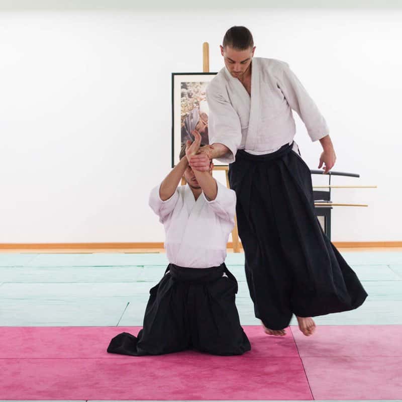 Formation-Aikido-Lyonnais-2013-12-BF-1-35