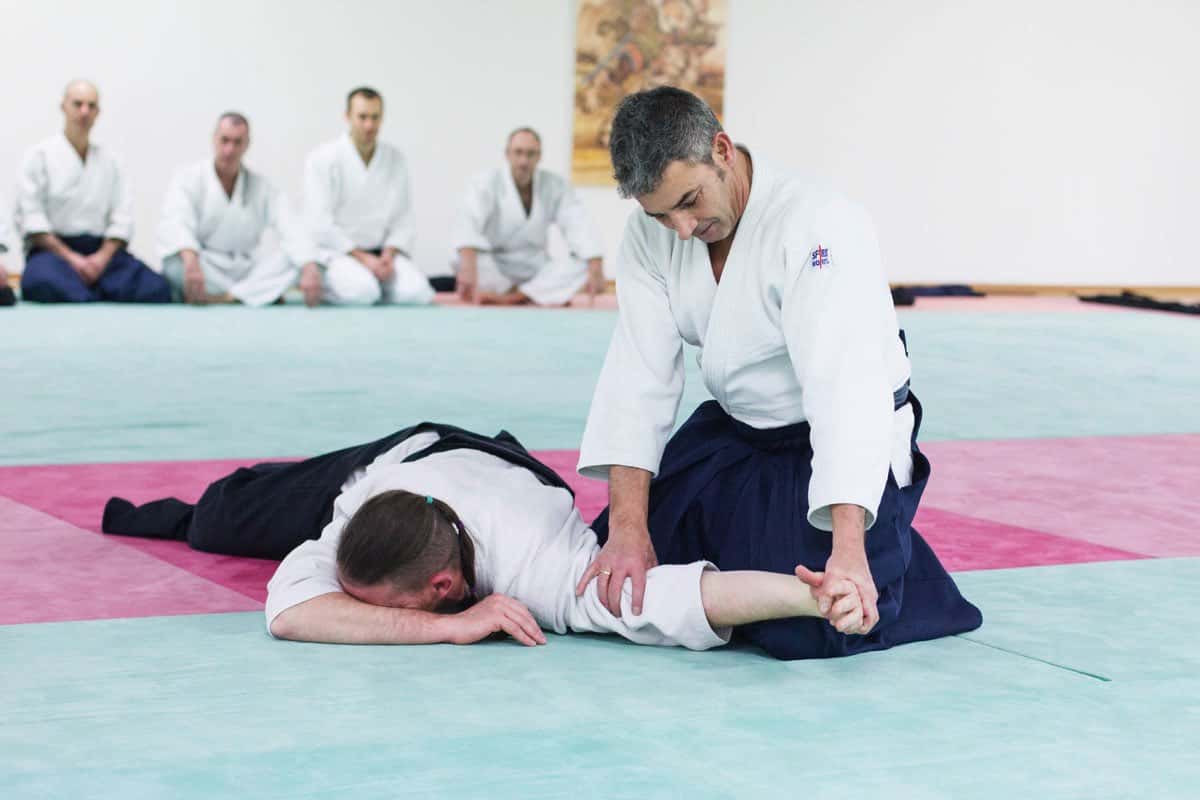 Formation-Aikido-Lyonnais-2013-12-BF-1-36