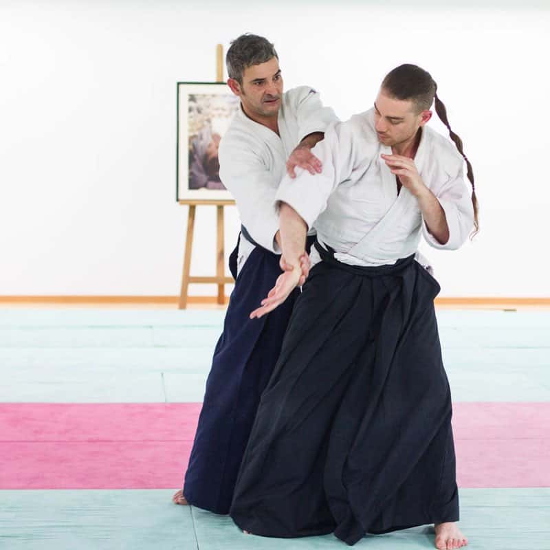 Formation-Aikido-Lyonnais-2013-12-BF-1-37