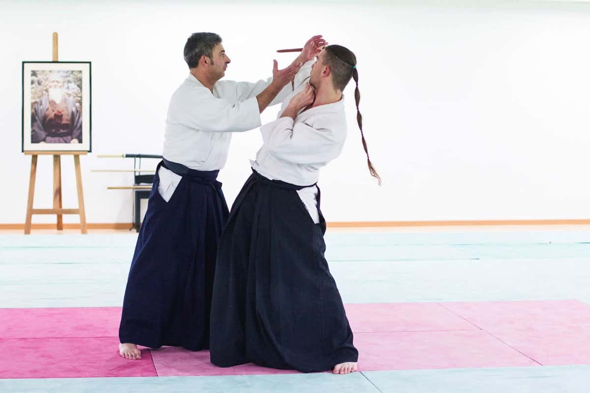 Formation-Aikido-Lyonnais-2013-12-BF-1-38