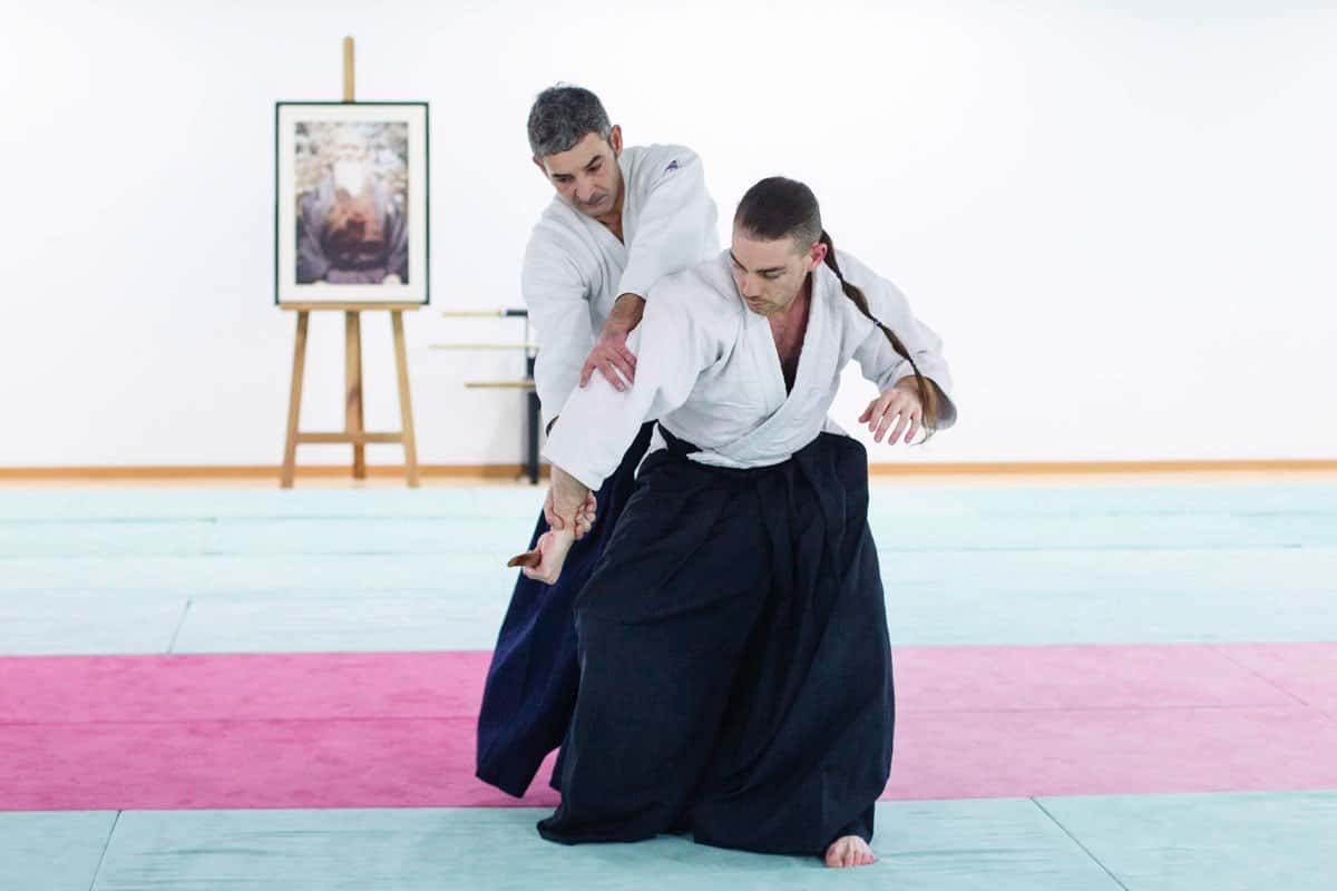 Formation-Aikido-Lyonnais-2013-12-BF-1-39