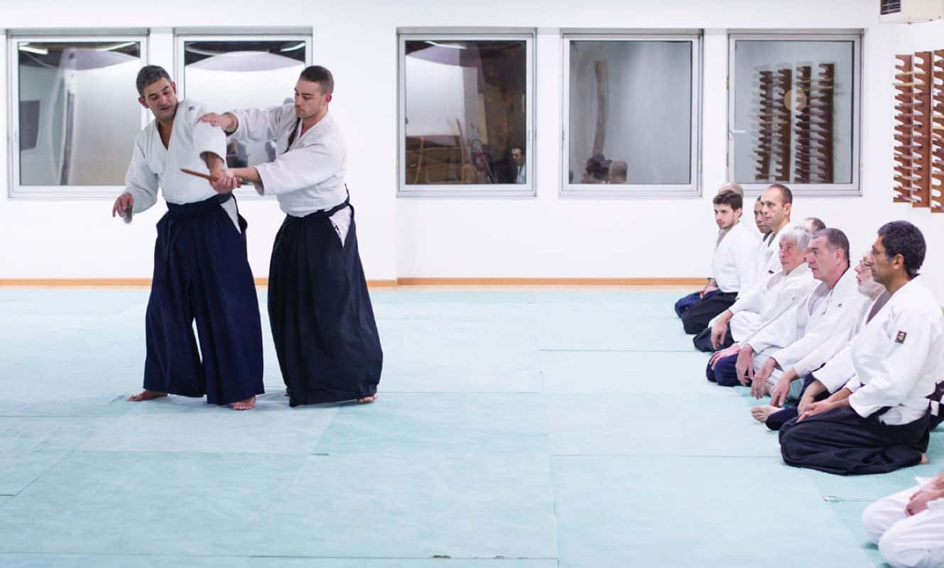 Formation-Aikido-Lyonnais-2013-12-BF-1-40