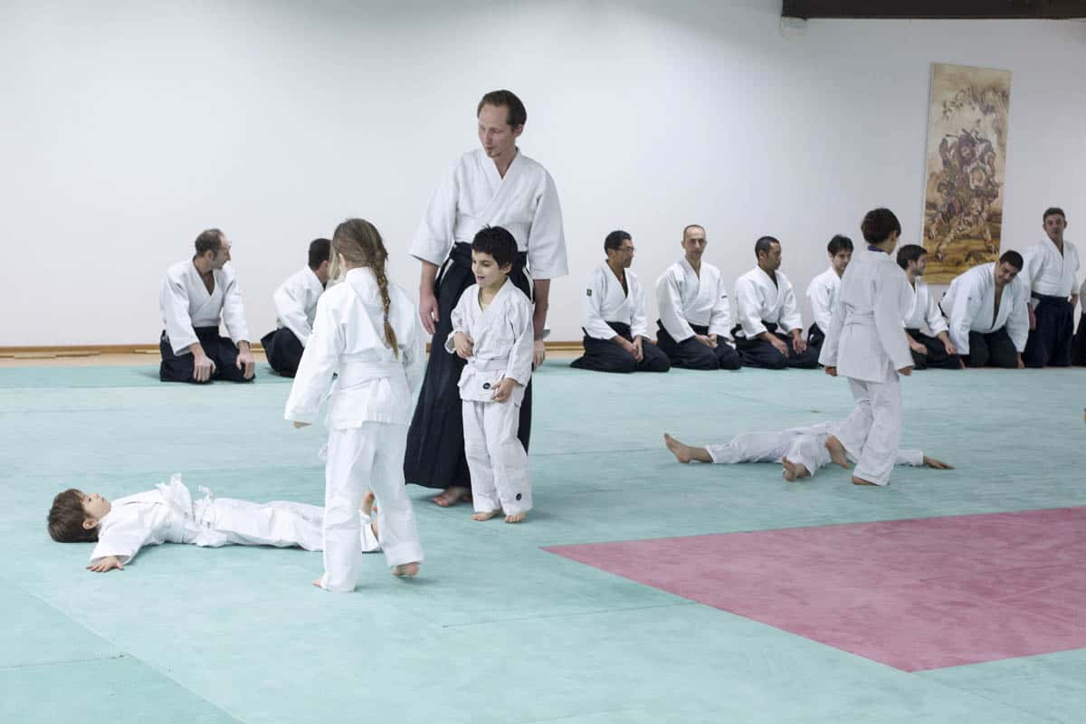 Formation-Aikido-Lyonnais-2014-01-BF2-Module-Jeunes-06