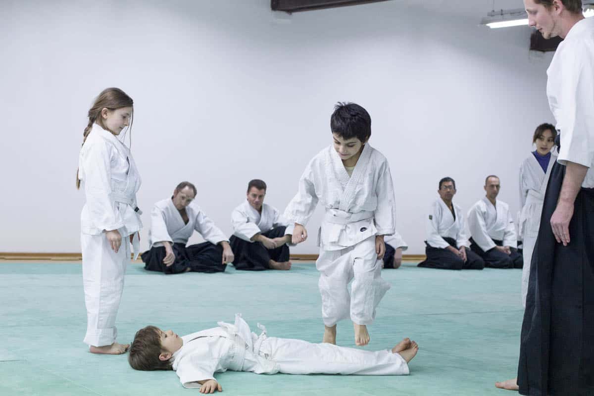 Formation-Aikido-Lyonnais-2014-01-BF2-Module-Jeunes-09