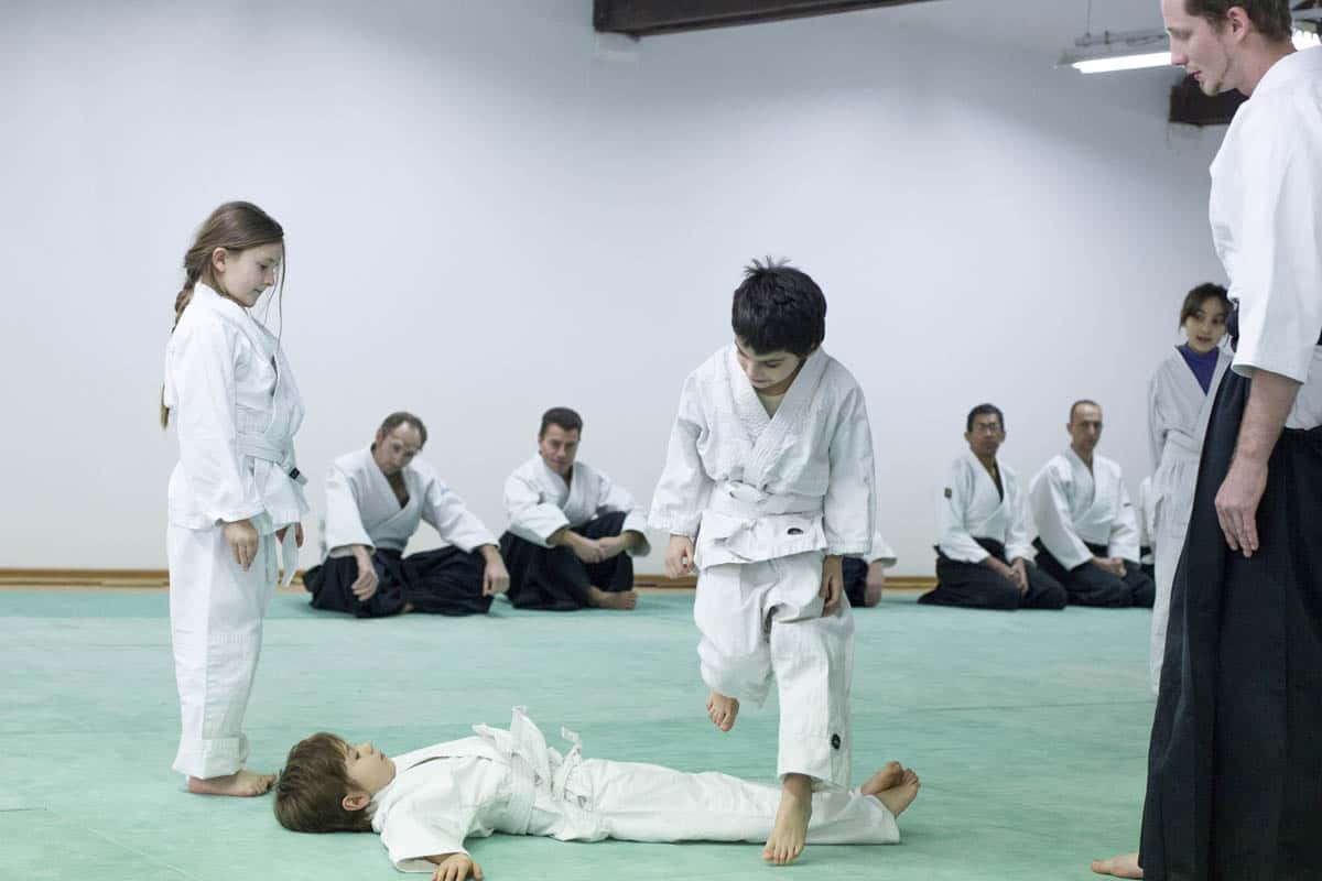 Formation-Aikido-Lyonnais-2014-01-BF2-Module-Jeunes-10