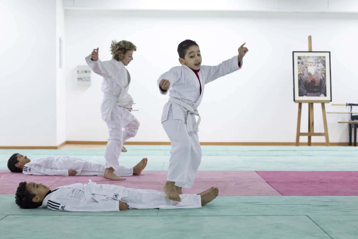 Formation-Aikido-Lyonnais-2014-01-BF2-Module-Jeunes-12