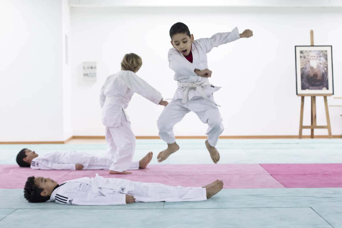 Formation-Aikido-Lyonnais-2014-01-BF2-Module-Jeunes-13