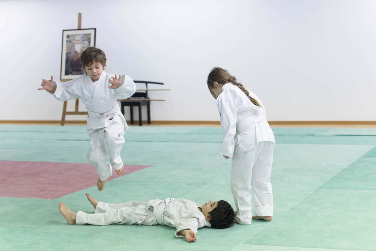 Formation-Aikido-Lyonnais-2014-01-BF2-Module-Jeunes-15