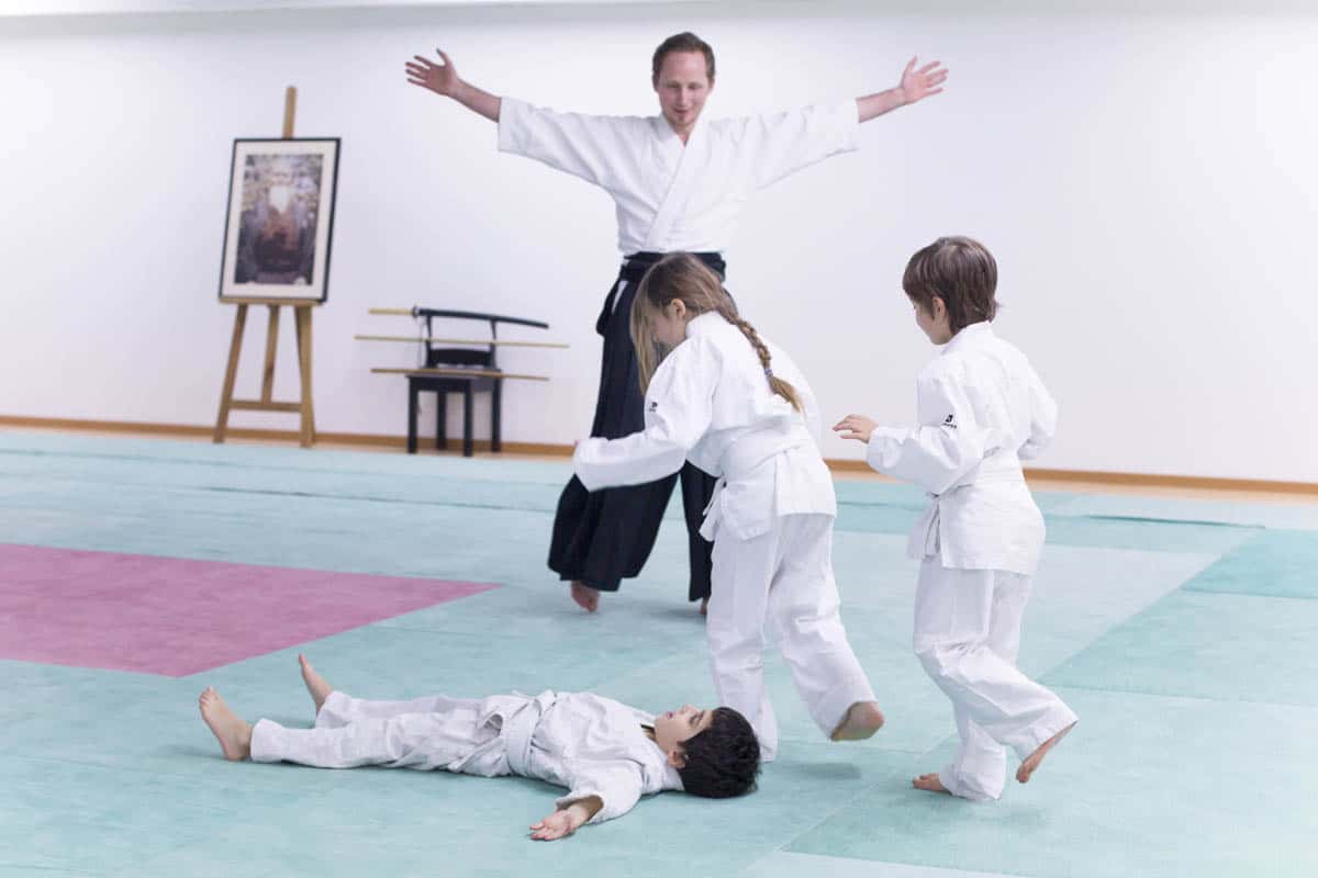 Formation-Aikido-Lyonnais-2014-01-BF2-Module-Jeunes-16