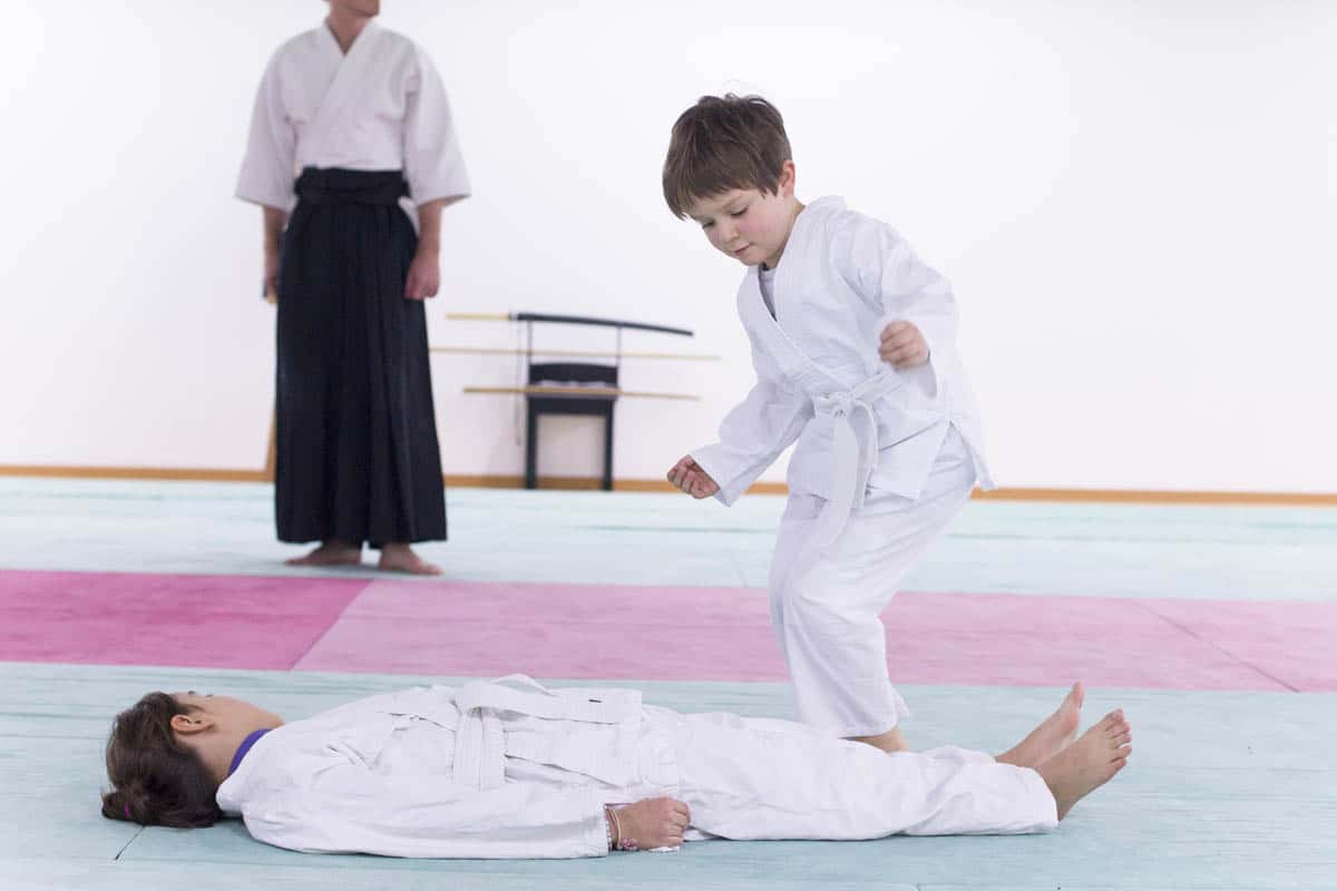 Formation-Aikido-Lyonnais-2014-01-BF2-Module-Jeunes-17
