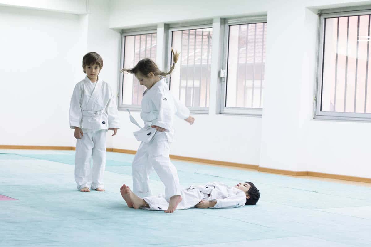 Formation-Aikido-Lyonnais-2014-01-BF2-Module-Jeunes-18