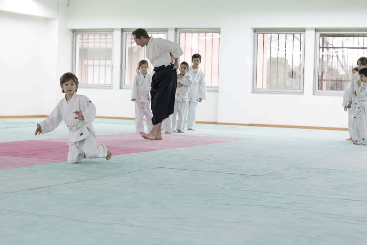 Formation-Aikido-Lyonnais-2014-01-BF2-Module-Jeunes-19