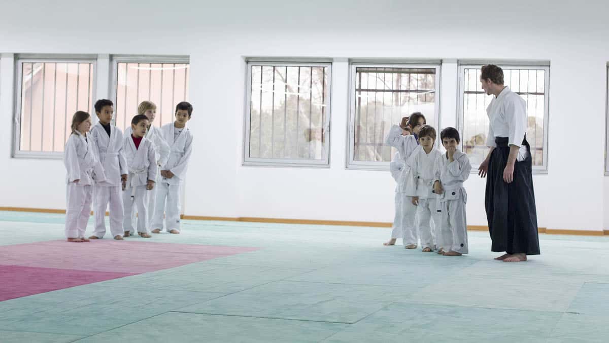 Formation-Aikido-Lyonnais-2014-01-BF2-Module-Jeunes-20