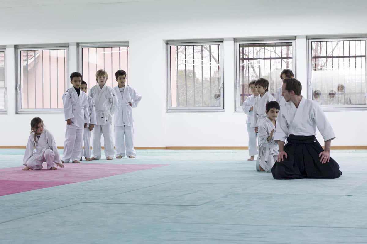 Formation-Aikido-Lyonnais-2014-01-BF2-Module-Jeunes-21