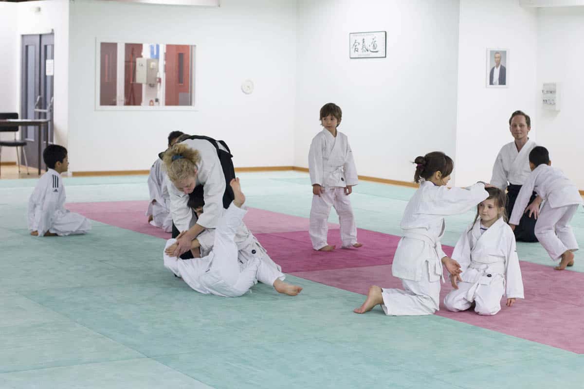 Formation-Aikido-Lyonnais-2014-01-BF2-Module-Jeunes-23