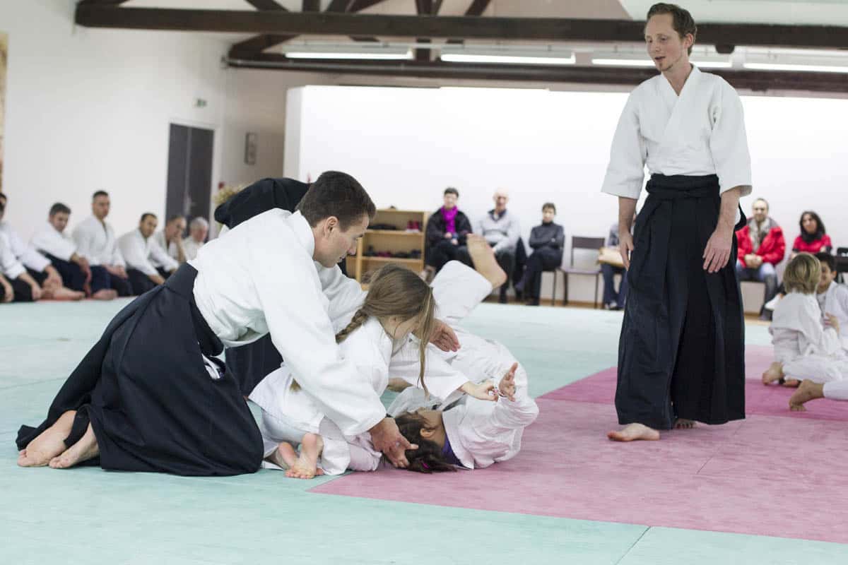 Formation-Aikido-Lyonnais-2014-01-BF2-Module-Jeunes-24