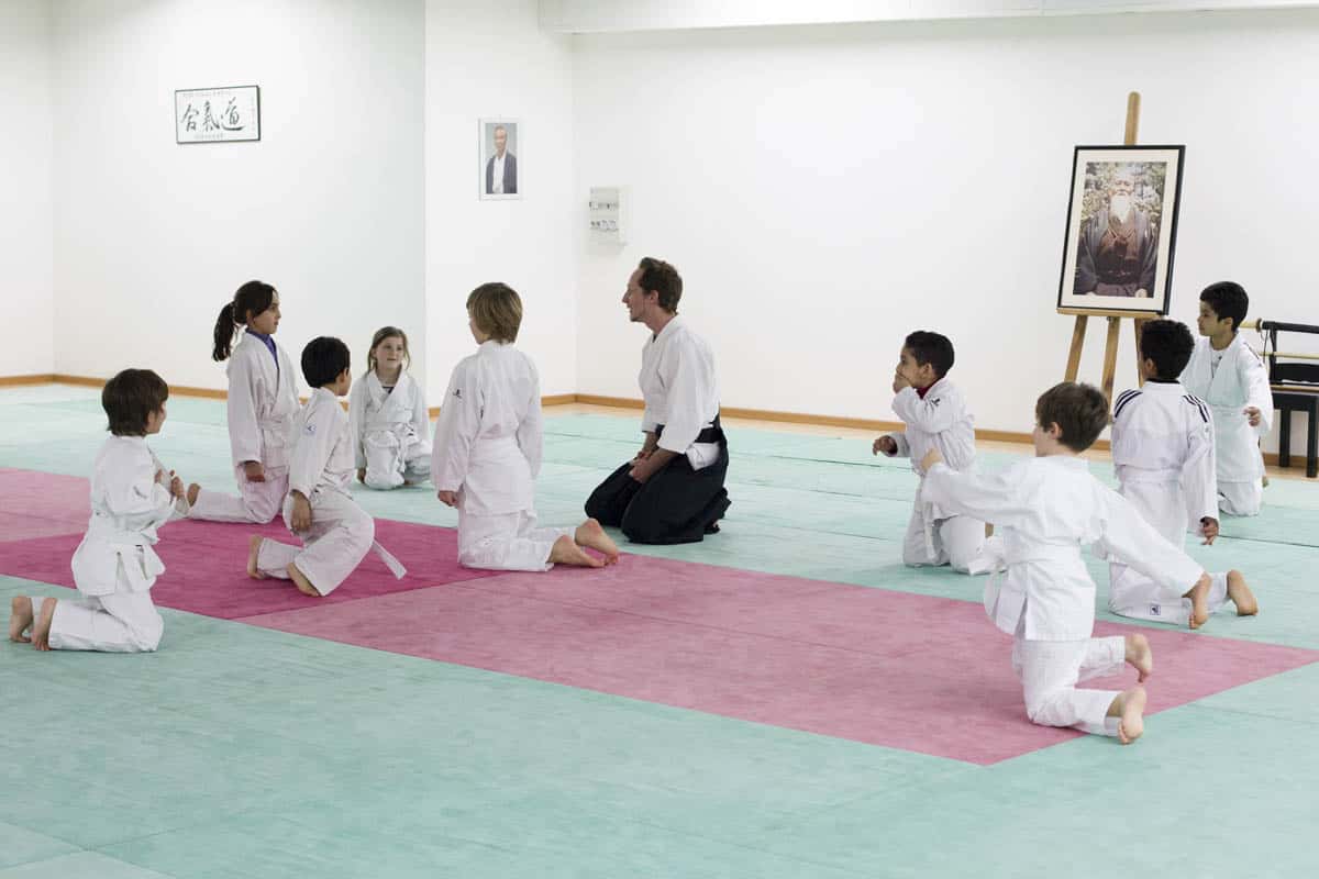 Formation-Aikido-Lyonnais-2014-01-BF2-Module-Jeunes-27