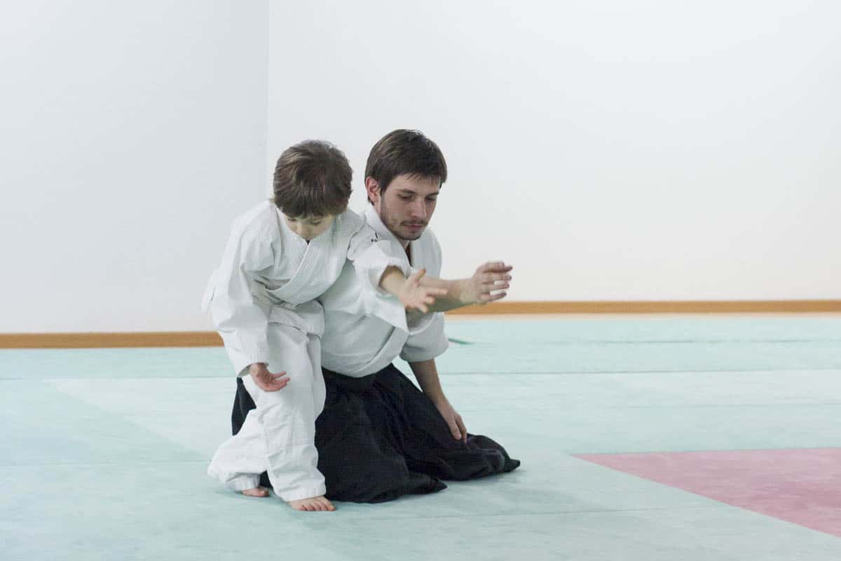 Formation-Aikido-Lyonnais-2014-01-BF2-Module-Jeunes-30