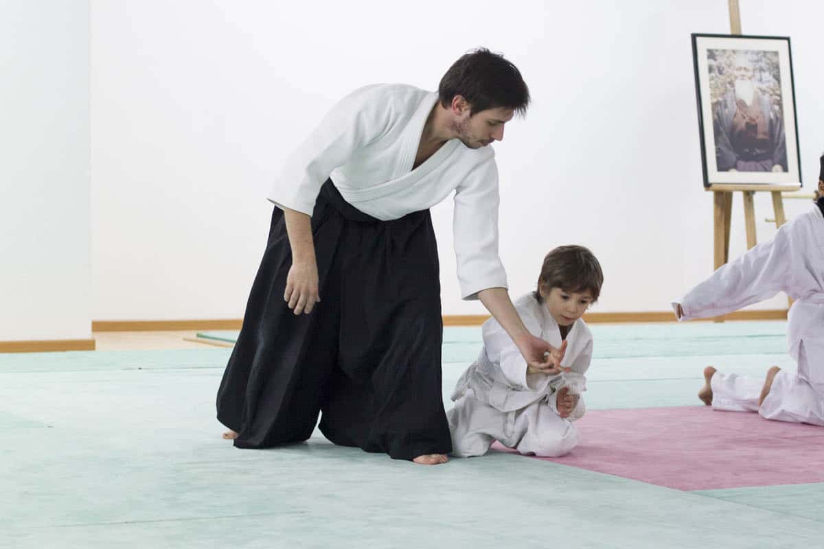 Formation-Aikido-Lyonnais-2014-01-BF2-Module-Jeunes-31