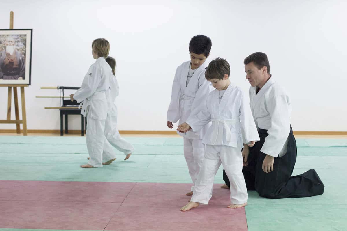Formation-Aikido-Lyonnais-2014-01-BF2-Module-Jeunes-33