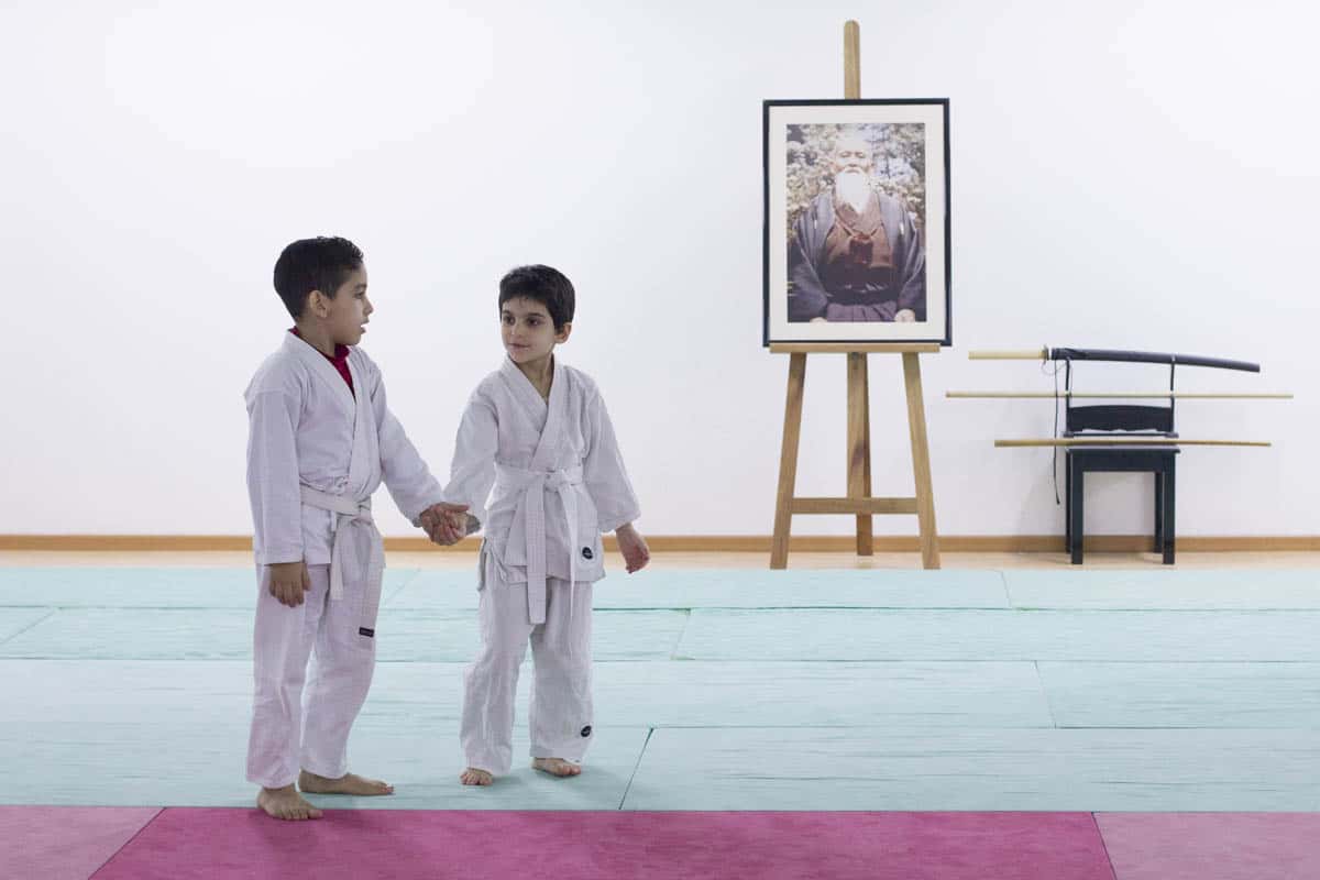 Formation-Aikido-Lyonnais-2014-01-BF2-Module-Jeunes-34