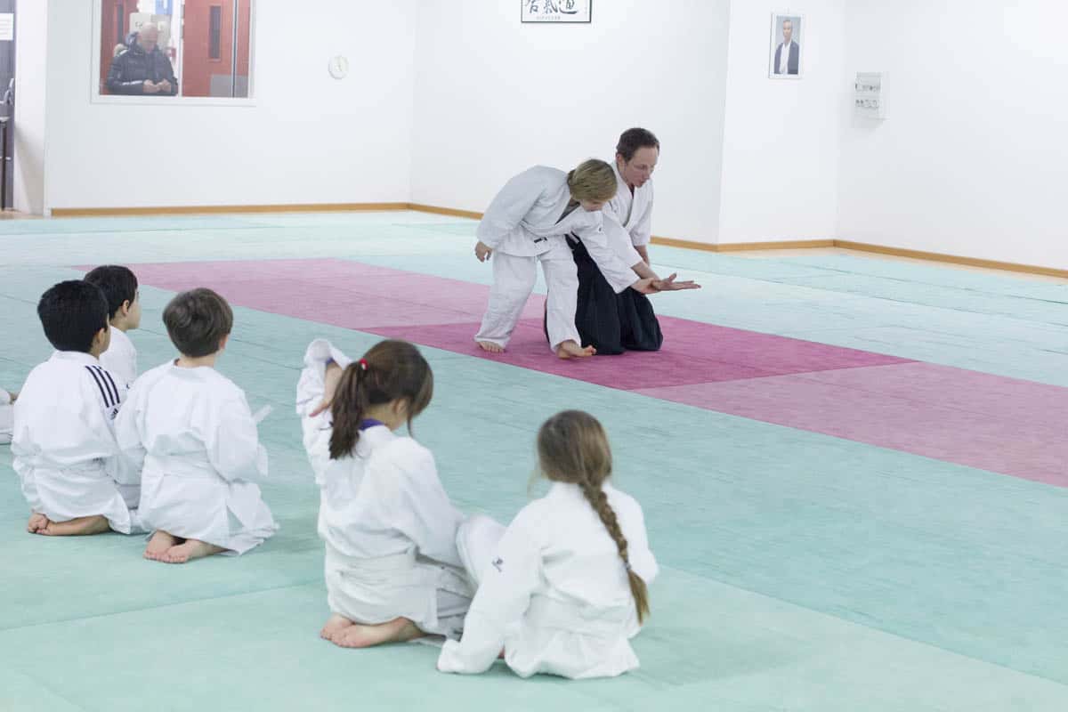 Formation-Aikido-Lyonnais-2014-01-BF2-Module-Jeunes-36