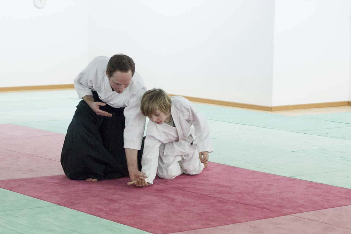 Formation-Aikido-Lyonnais-2014-01-BF2-Module-Jeunes-37