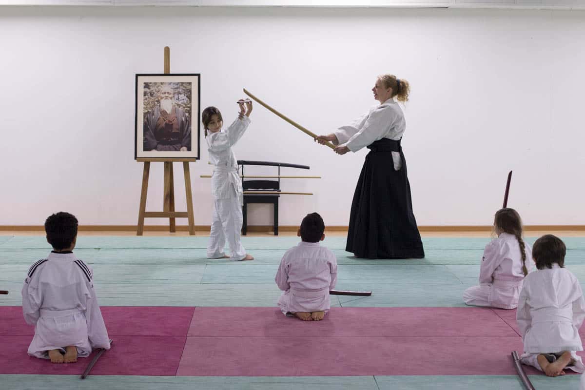 Formation-Aikido-Lyonnais-2014-01-BF2-Module-Jeunes-38