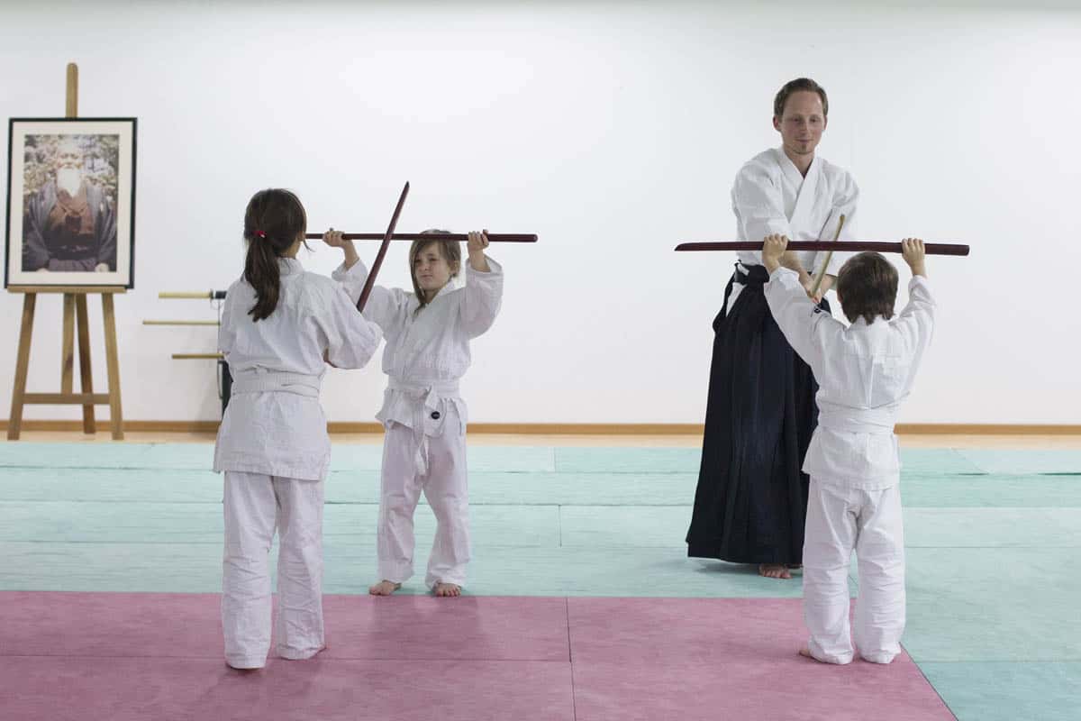 Formation-Aikido-Lyonnais-2014-01-BF2-Module-Jeunes-40