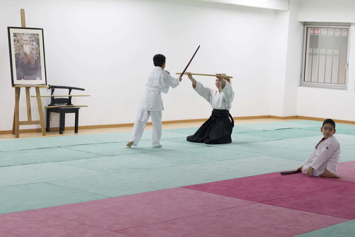 Formation-Aikido-Lyonnais-2014-01-BF2-Module-Jeunes-42