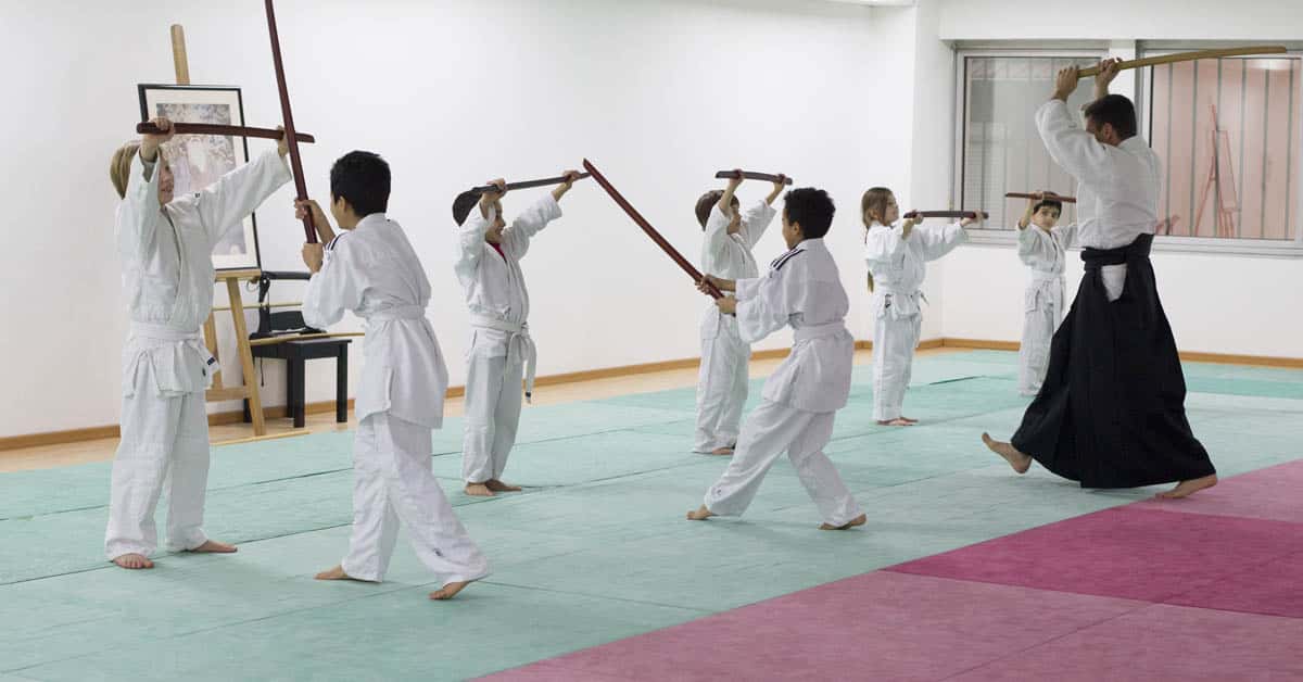 Formation-Aikido-Lyonnais-2014-01-BF2-Module-Jeunes-43