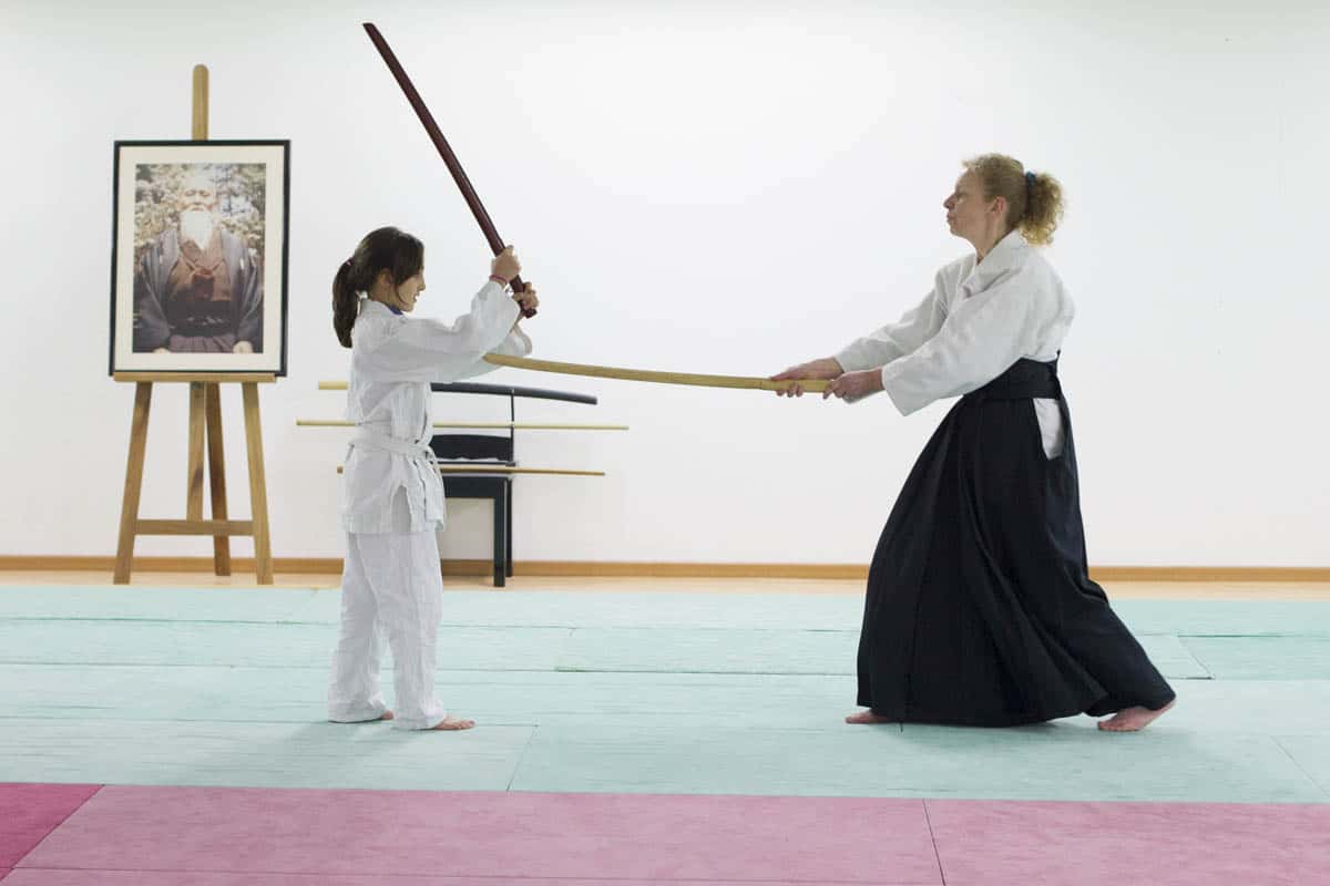Formation-Aikido-Lyonnais-2014-01-BF2-Module-Jeunes-44