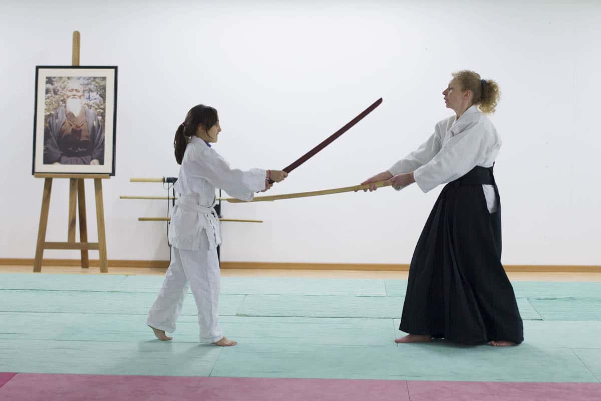 Formation-Aikido-Lyonnais-2014-01-BF2-Module-Jeunes-45