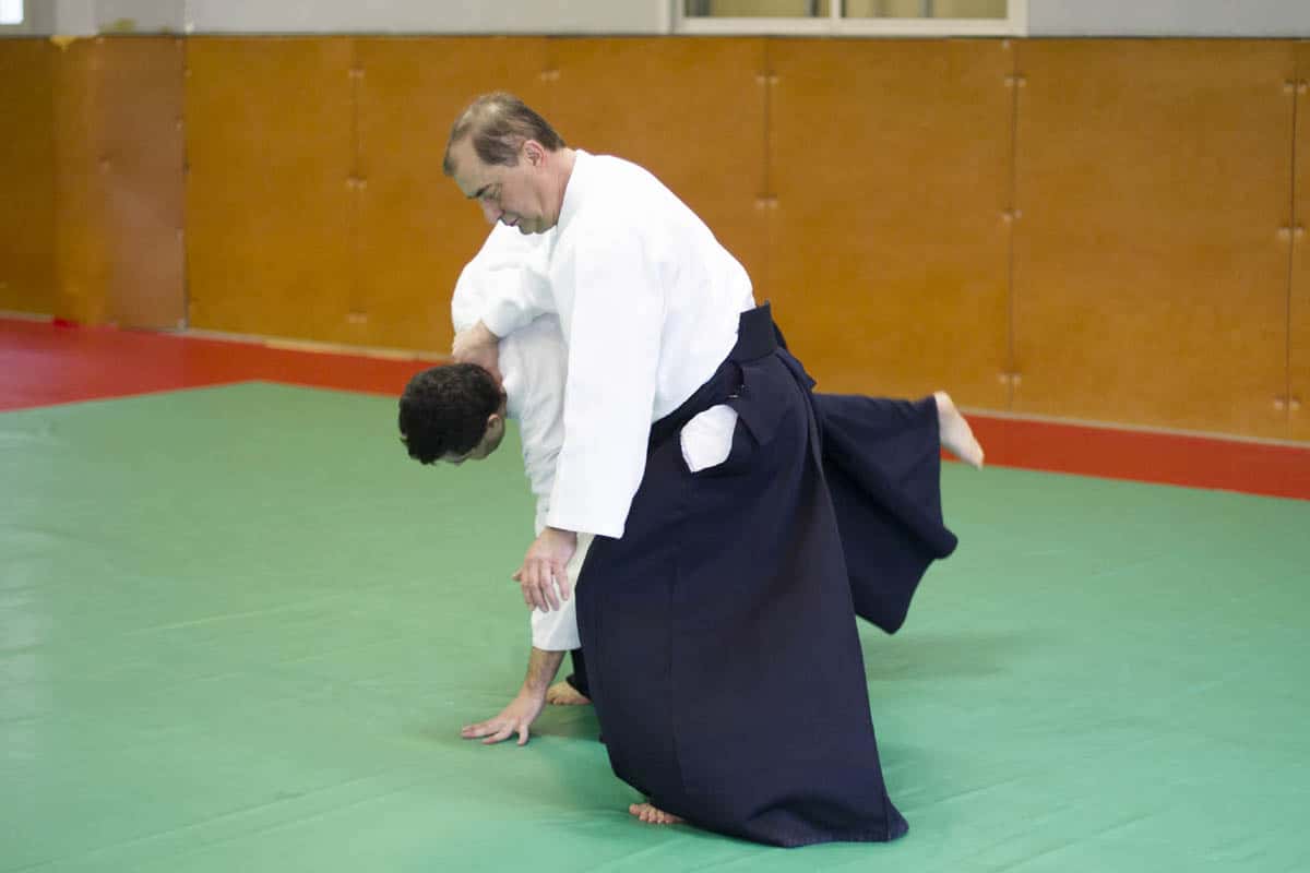 Stage -Aikido-Lyonnais-2014-01-Juges-Enseignants-02