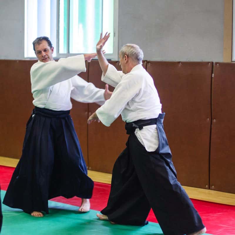 Stage -Aikido-Lyonnais-2014-01-Juges-Enseignants-03