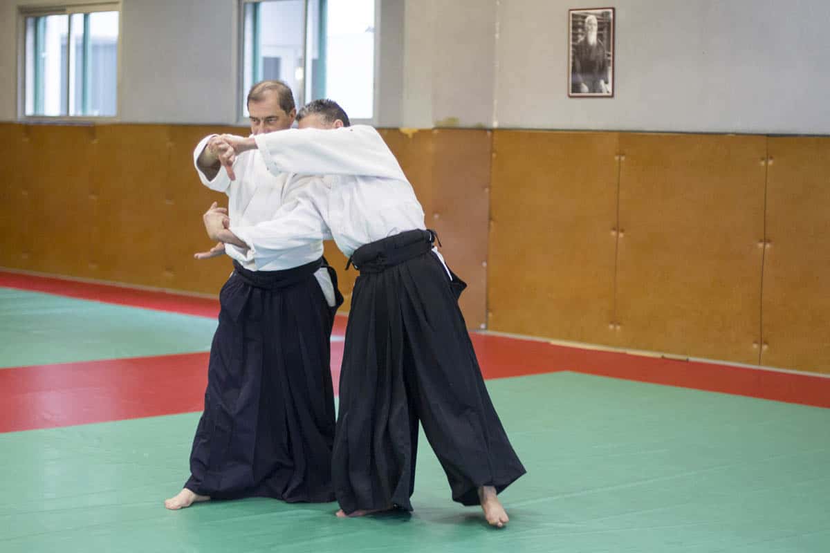 Stage -Aikido-Lyonnais-2014-01-Juges-Enseignants-05