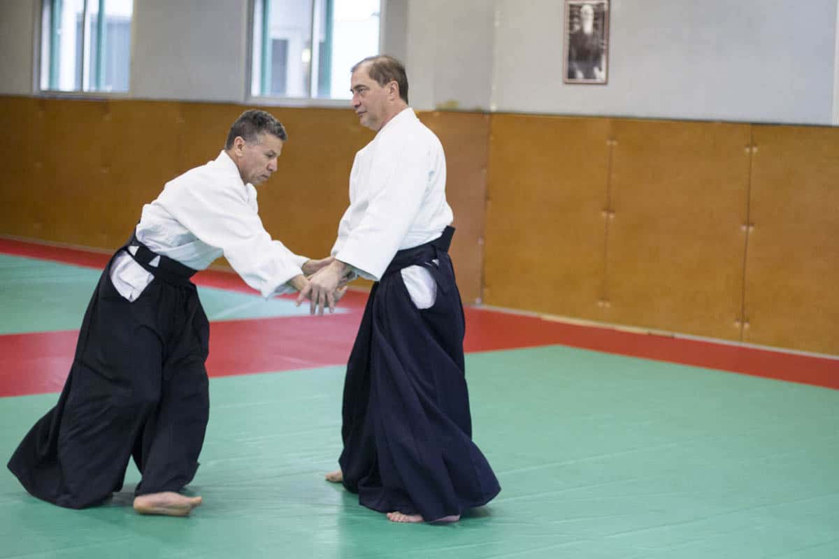 Stage -Aikido-Lyonnais-2014-01-Juges-Enseignants-06