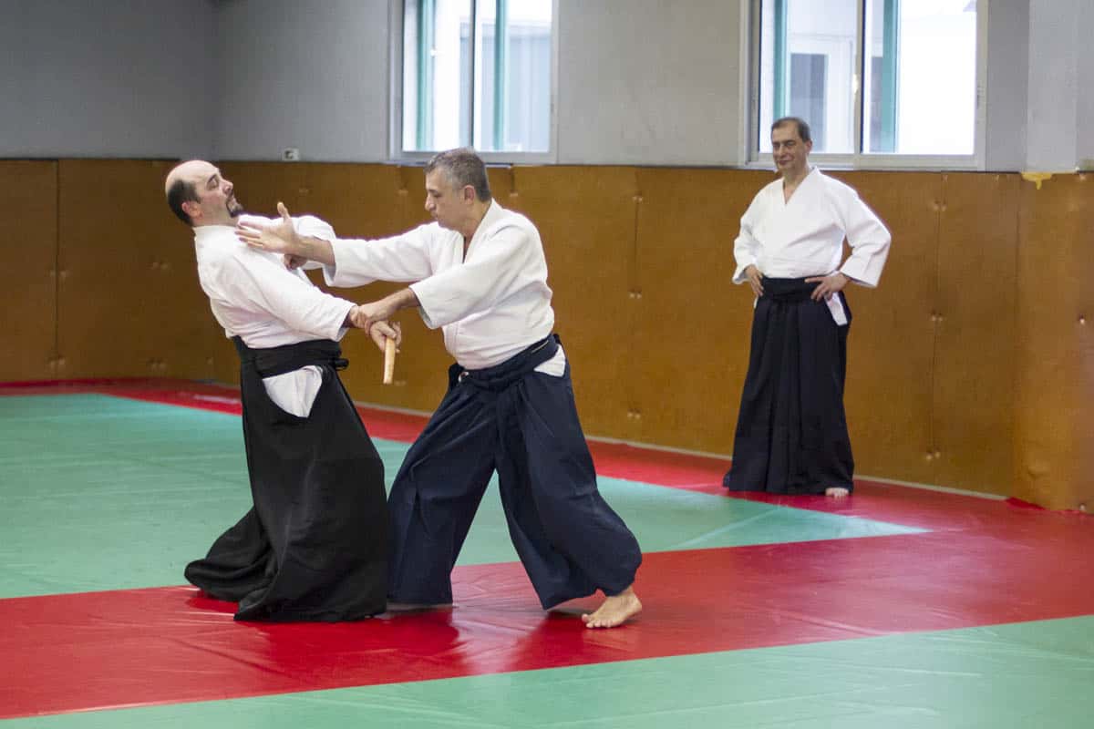 Stage -Aikido-Lyonnais-2014-01-Juges-Enseignants-09