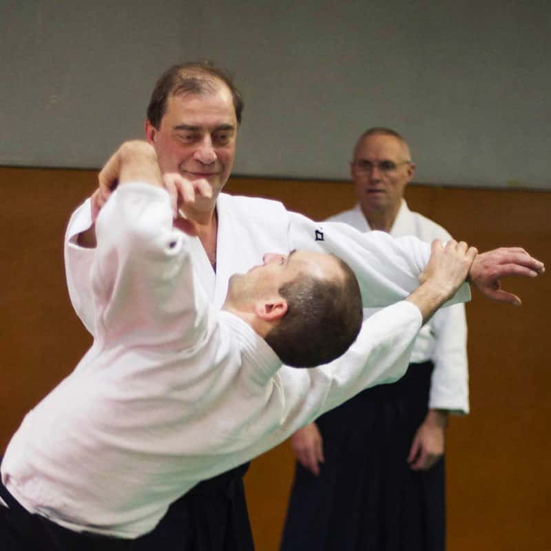 Stage -Aikido-Lyonnais-2014-01-Juges-Enseignants-11