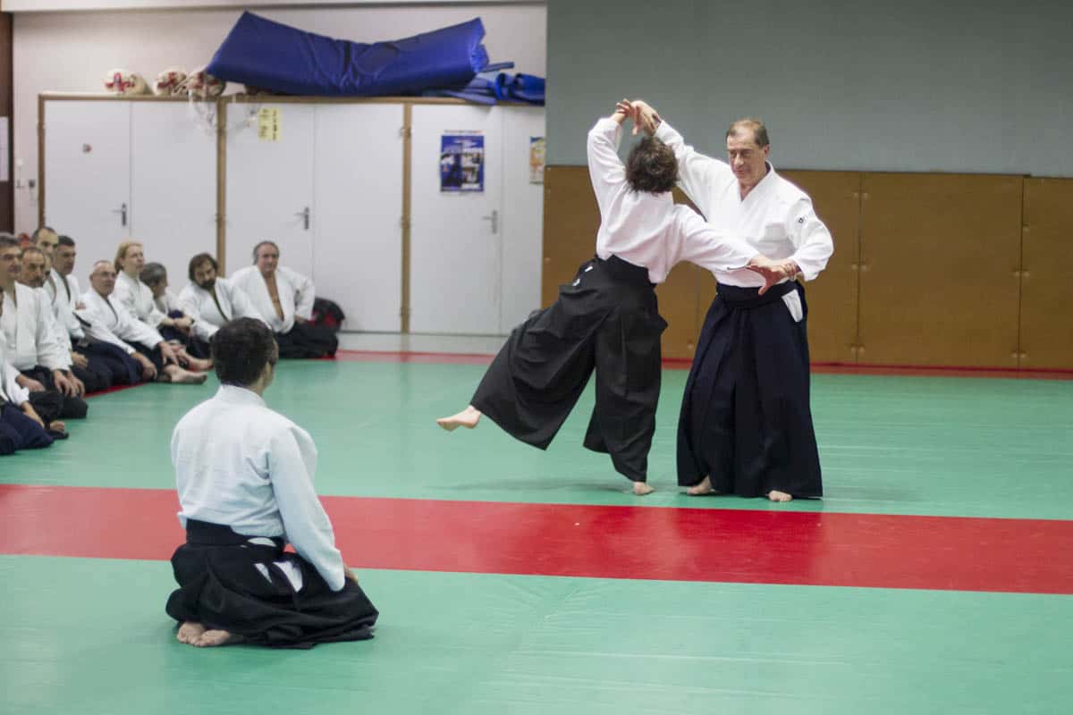 Stage -Aikido-Lyonnais-2014-01-Juges-Enseignants-12